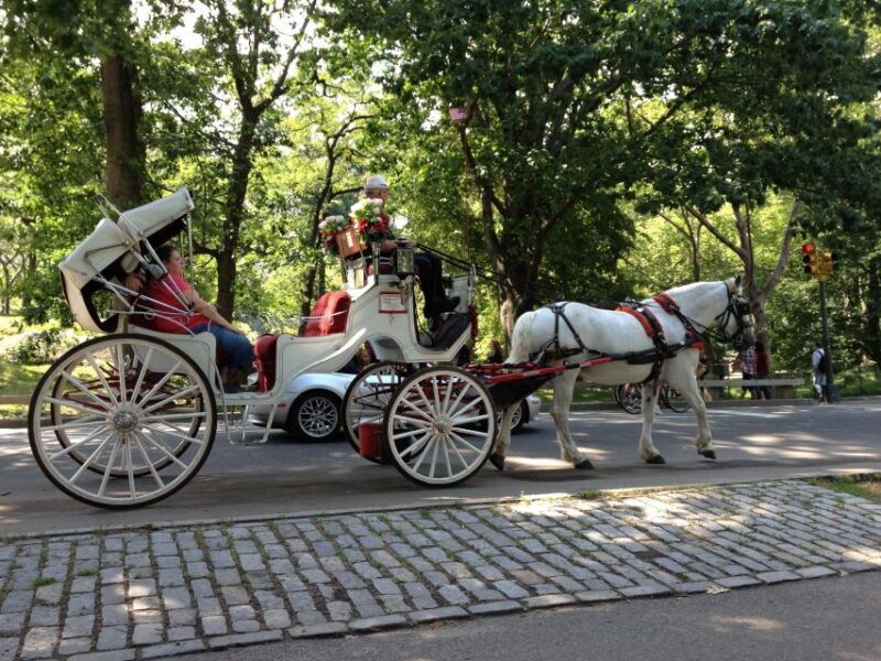new-york-carriage-ride-in-central-park