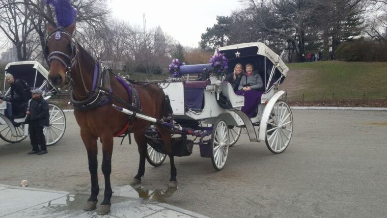 new-york-carriage-ride-in-central-park