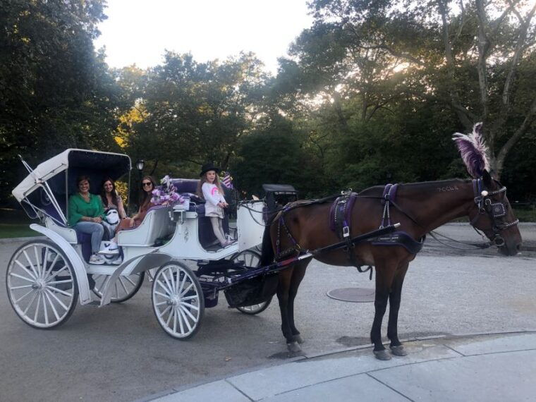 new-york-carriage-ride-in-central-park