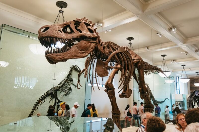 New York City: American Museum of Natural History Ticket - Exploring the American Museum of Natural History: A Complete Guide