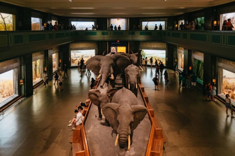 New York City: American Museum of Natural History Ticket - An Inside Look at the Museums Highlights