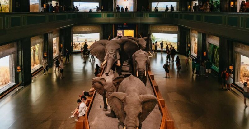 New York City: American Museum of Natural History Ticket - The Experience Through Reviewers’ Eyes