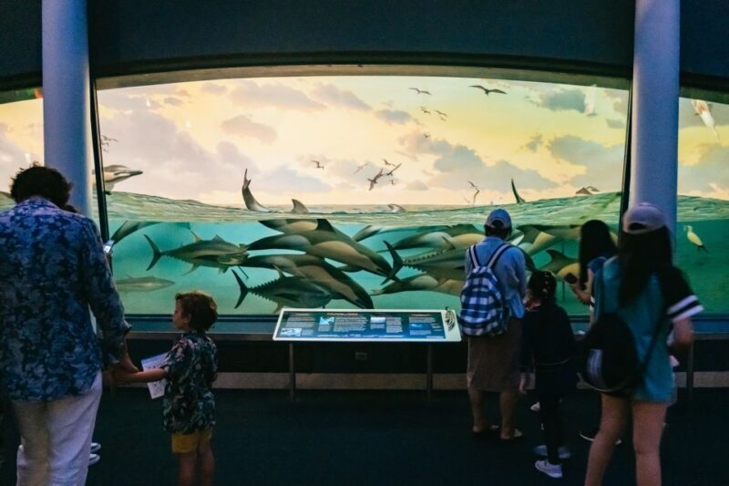 New York City: American Museum of Natural History Ticket - Final Thoughts: Is It Worth Visiting?