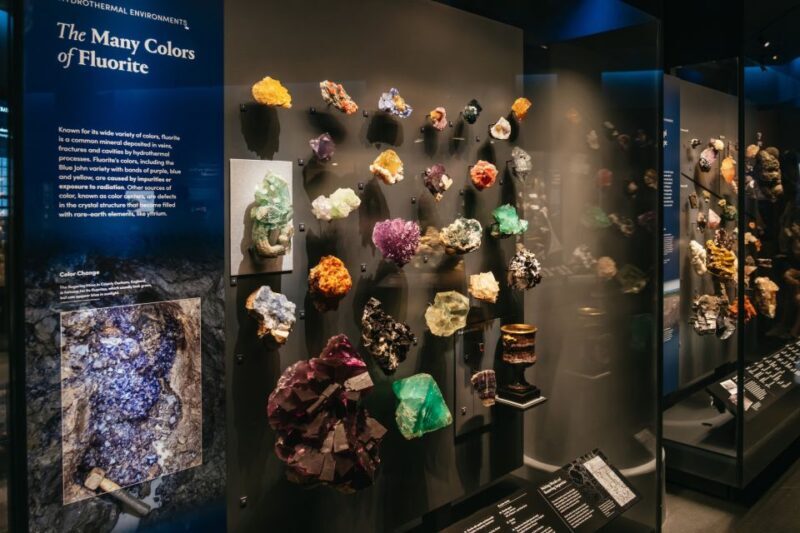 New York City: American Museum of Natural History Ticket - FAQs