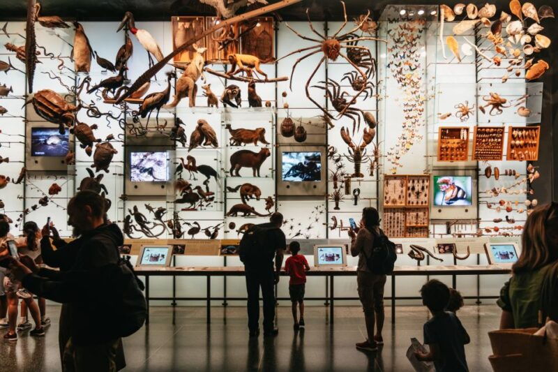new-york-city-american-museum-of-natural-history-ticket