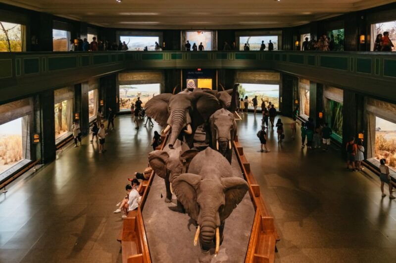 new-york-city-american-museum-of-natural-history-ticket