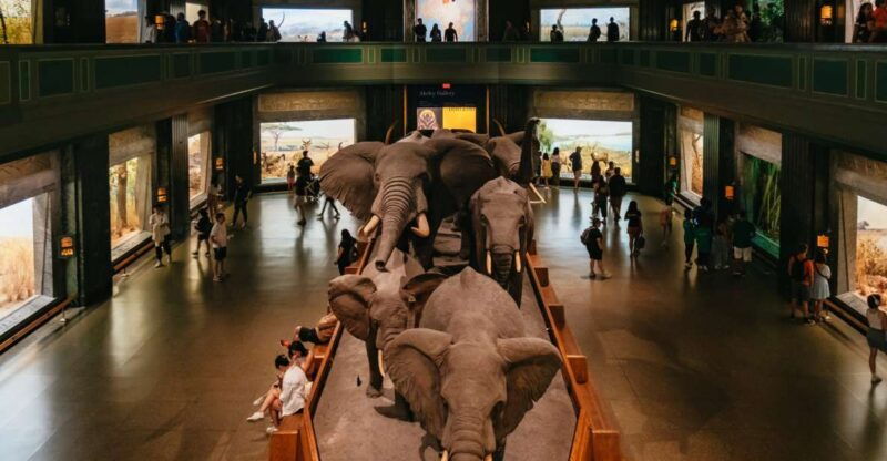 new-york-city-american-museum-of-natural-history-ticket