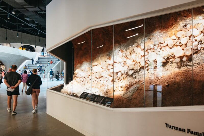 new-york-city-american-museum-of-natural-history-ticket