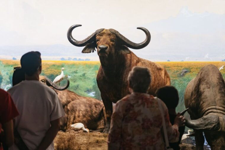 new-york-city-american-museum-of-natural-history-ticket