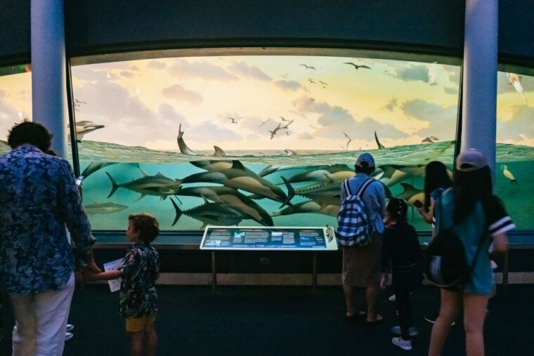 new-york-city-american-museum-of-natural-history-ticket