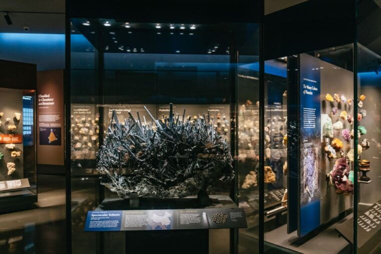 new-york-city-american-museum-of-natural-history-ticket