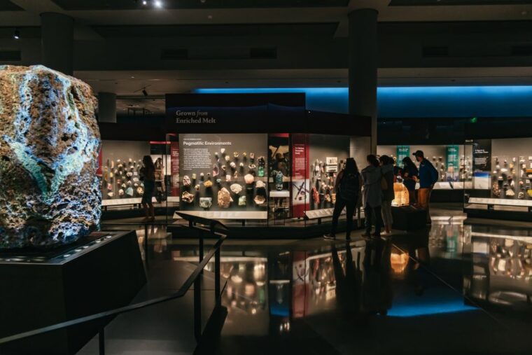 new-york-city-american-museum-of-natural-history-ticket