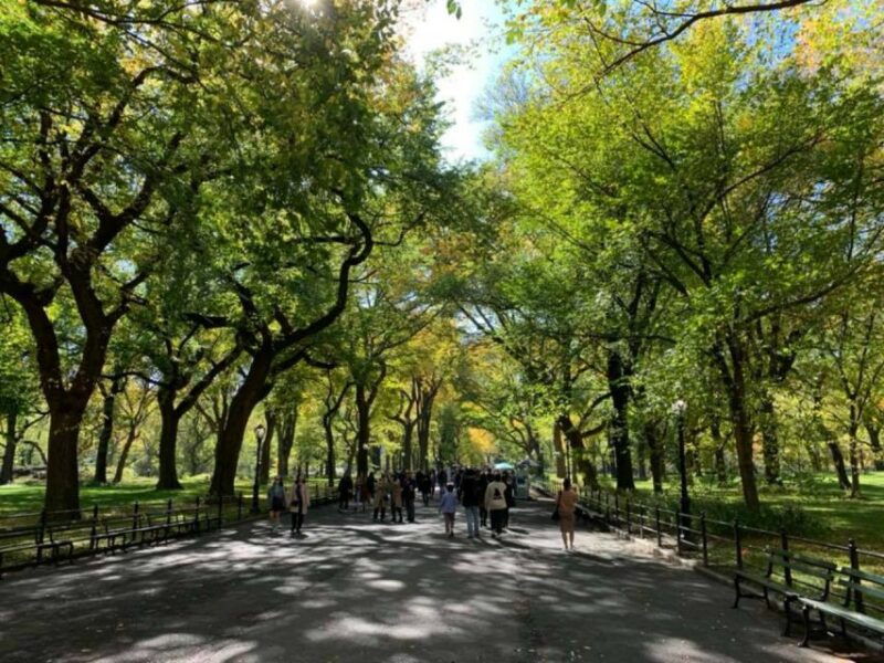 new-york-city-central-park-highlights-walking-tour