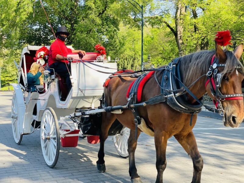 new-york-city-central-park-private-horse-and-carriage-tour