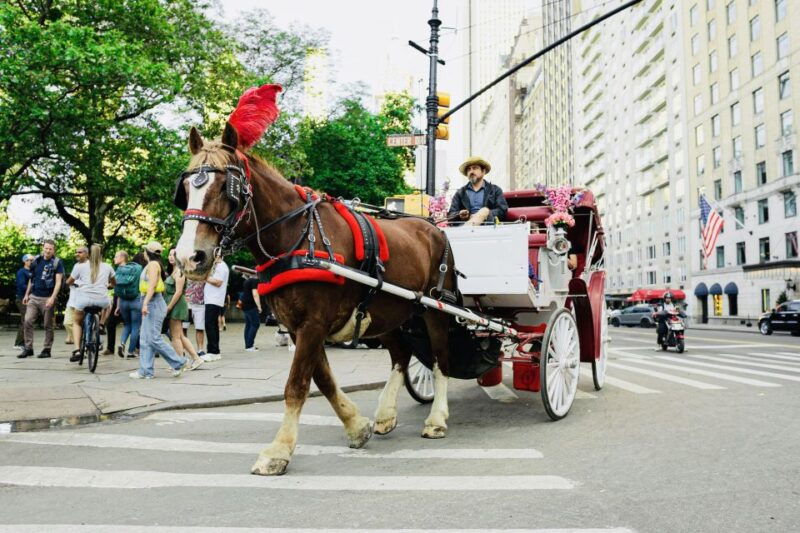 new-york-city-central-park-private-horse-and-carriage-tour