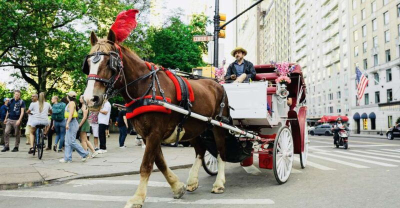 new-york-city-central-park-private-horse-and-carriage-tour