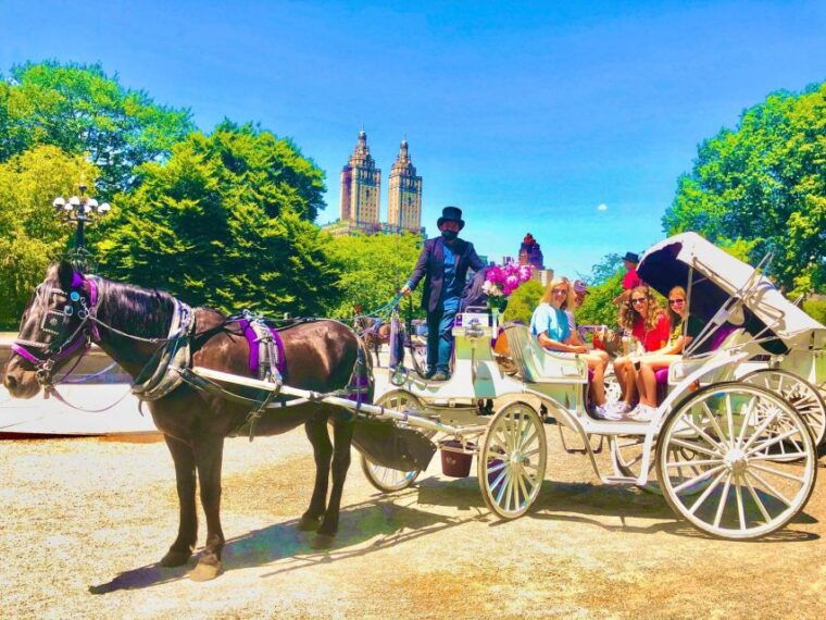 new-york-city-central-park-private-horse-and-carriage-tour
