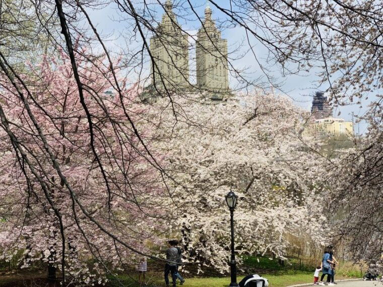 new-york-city-central-park-private-horse-and-carriage-tour