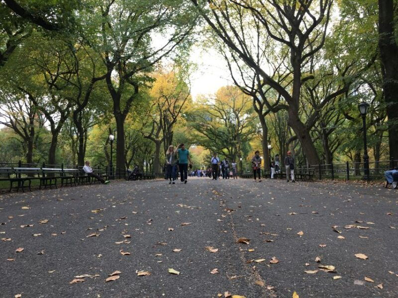 new-york-city-central-park-tour-by-pedicab