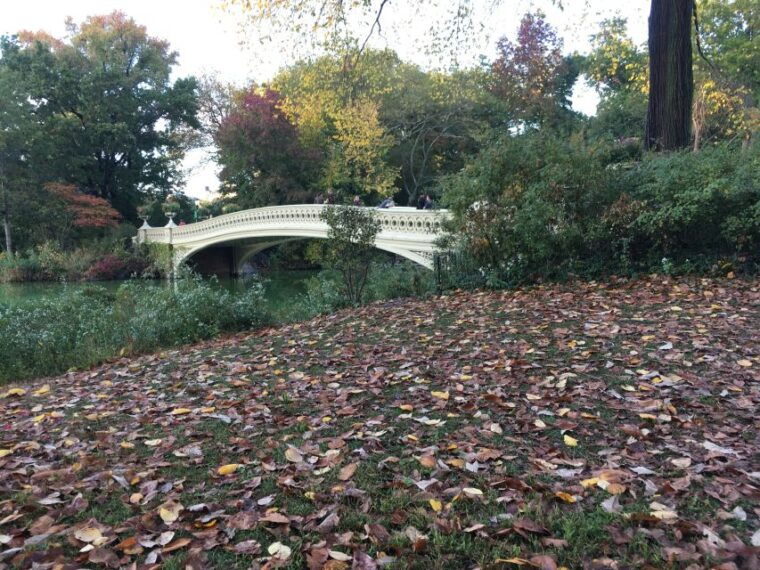 new-york-city-central-park-tour-by-pedicab
