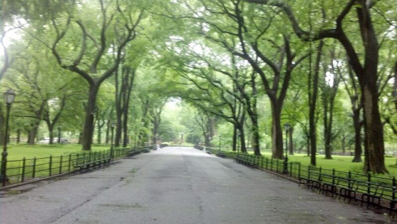 new-york-city-central-park-walking-tour