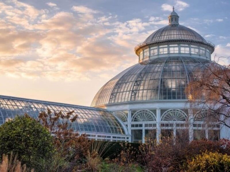 new-york-city-central-park-walking-tour-with-a-guide-2
