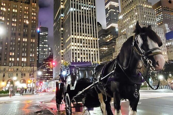 New York City Christmas Lights Private Horse Carriage Ride - The Rockefeller Christmas Tree and Rockefeller Plaza