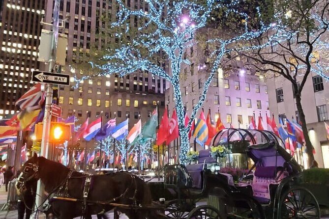 New York City Christmas Lights Private Horse Carriage Ride - Holiday Window Displays and Landmarks