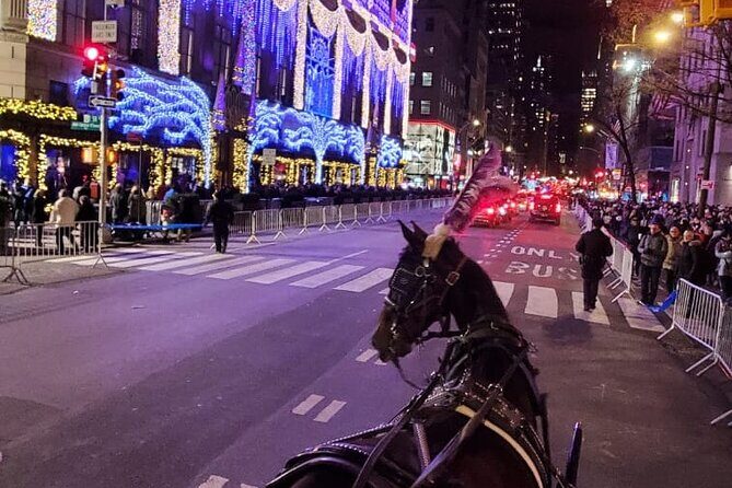 New York City Christmas Lights Private Horse Carriage Ride - Transportation and Group Size
