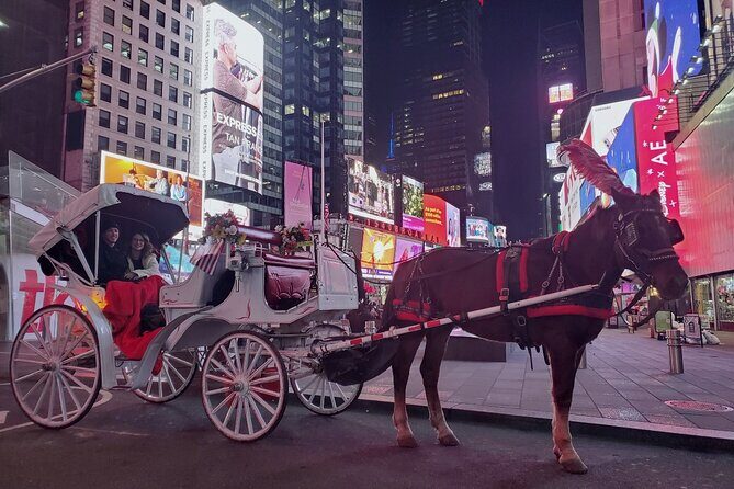 New York City Christmas Lights Private Horse Carriage Ride - Duration and Timing