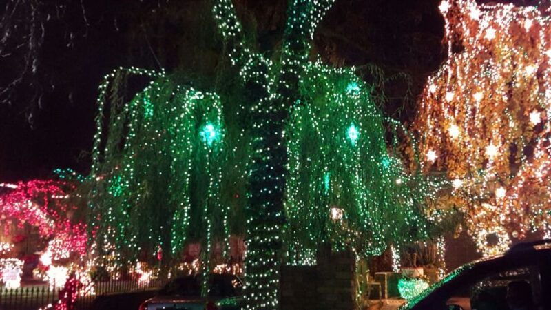 new-york-city-dyker-heights-christmas-lights-tour