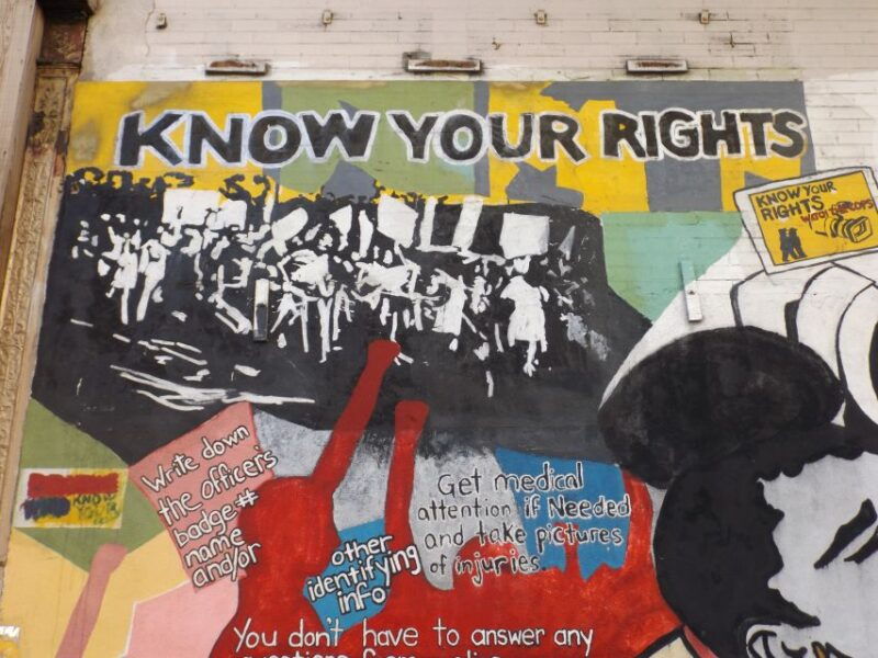 new-york-city-harlem-civil-rights-walking-tour-with-lunch