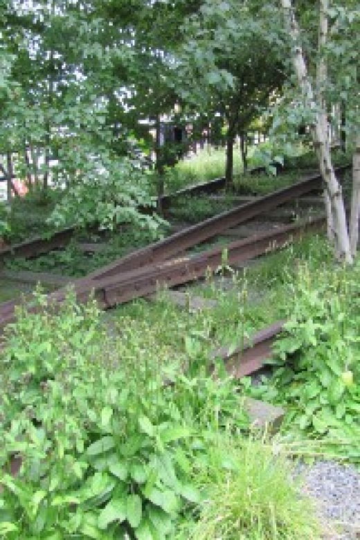 new-york-city-high-line-walking-tour