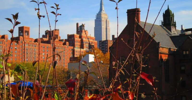 new-york-city-high-line-walking-tour