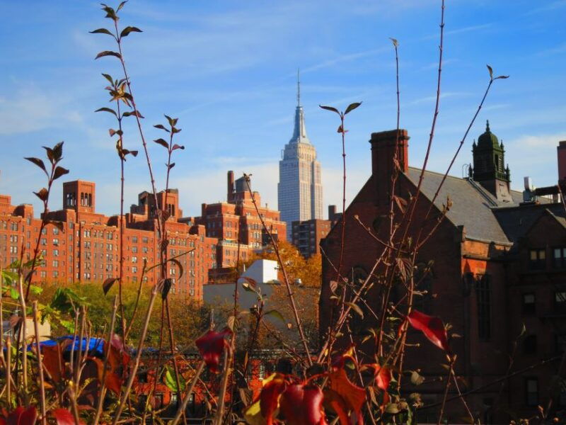 new-york-city-high-line-walking-tour