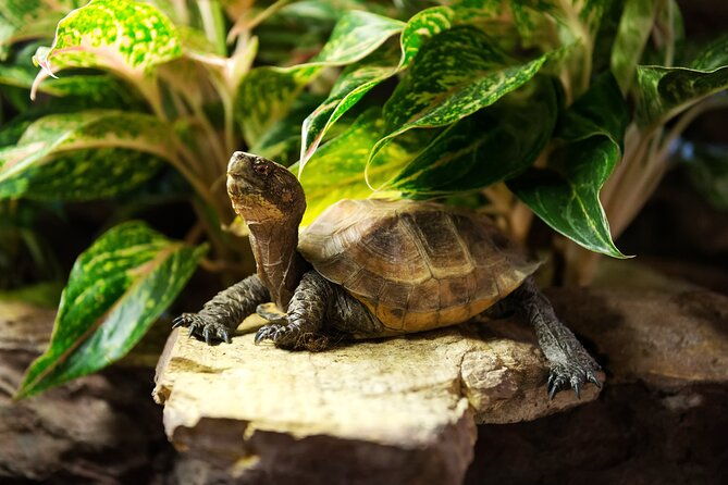 new-york-city-highlights-private-walking-tour