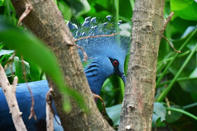 new-york-city-highlights-private-walking-tour