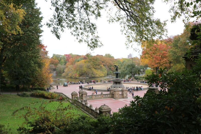 new-york-city-horse-carriage-ride-through-central-park