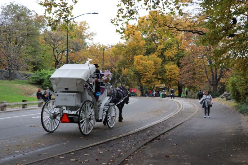 new-york-city-horse-carriage-ride-through-central-park