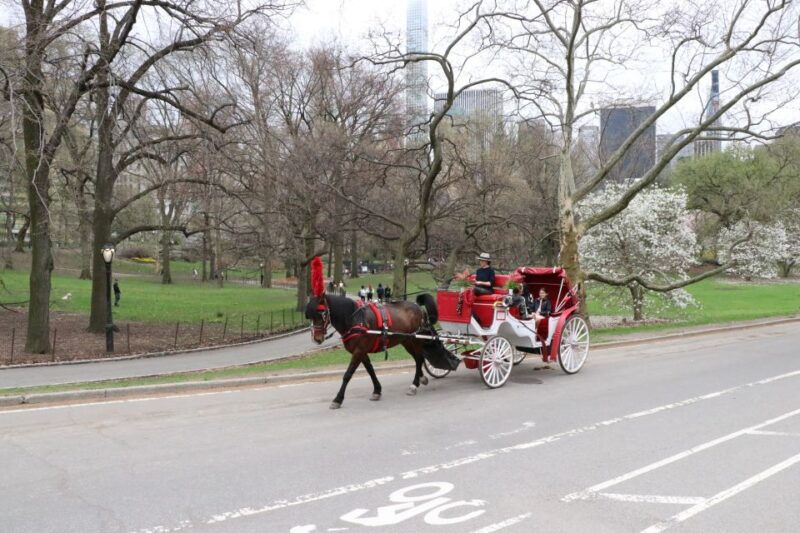 new-york-city-horse-carriage-ride-through-central-park