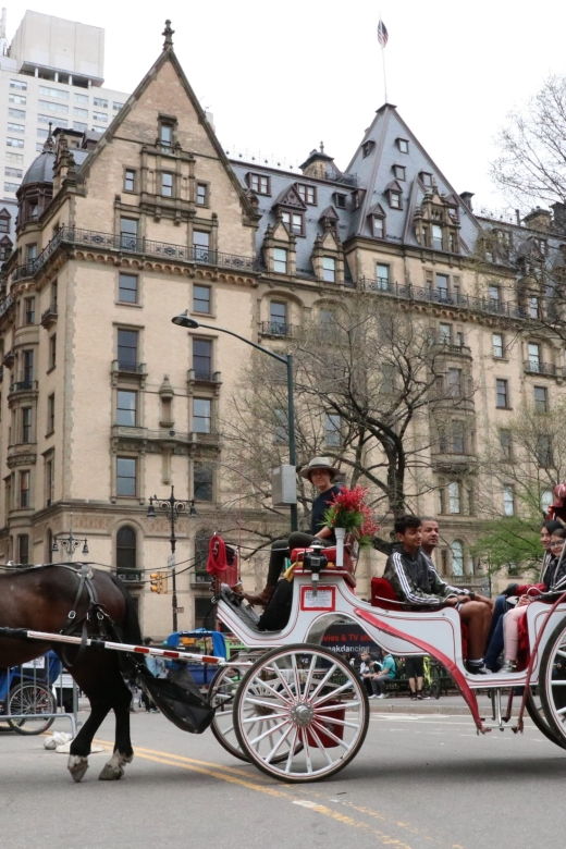 new-york-city-horse-carriage-ride-through-central-park