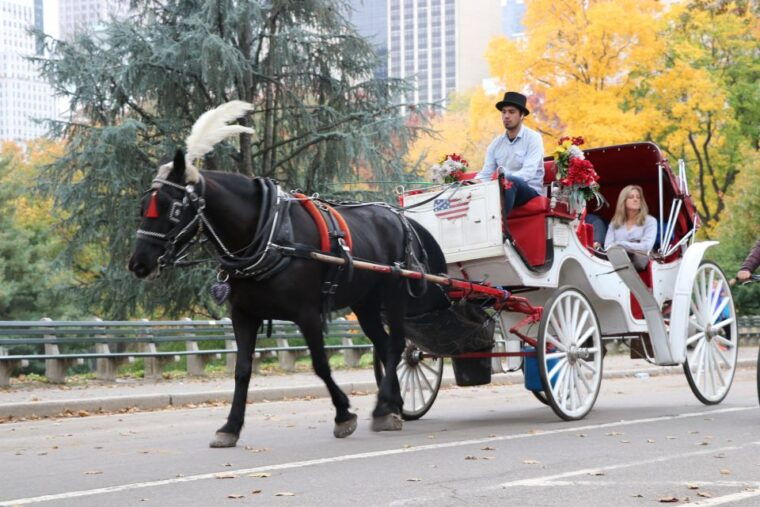 new-york-city-horse-carriage-ride-through-central-park