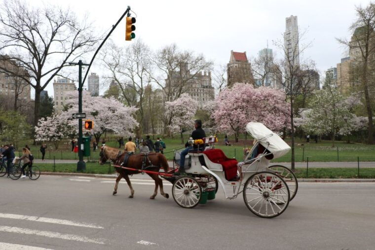 new-york-city-horse-carriage-ride-through-central-park