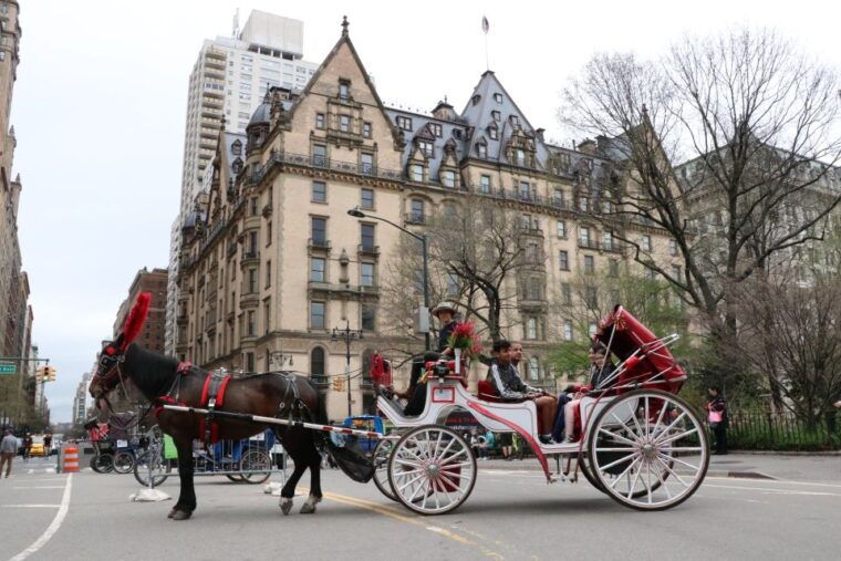 new-york-city-horse-carriage-ride-through-central-park