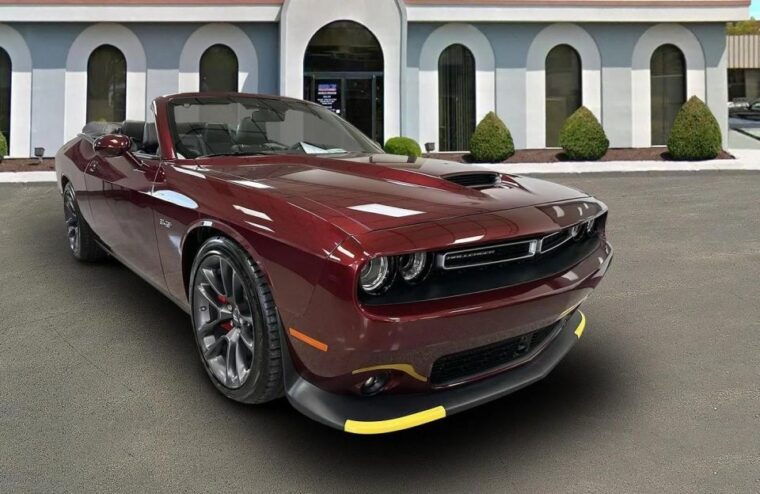 new-york-city-private-tour-by-dodge-challenger-convertible