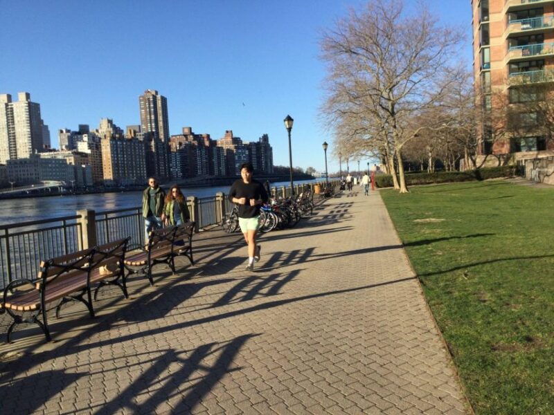 new-york-city-roosevelt-island-walking-tour-with-tram-ride