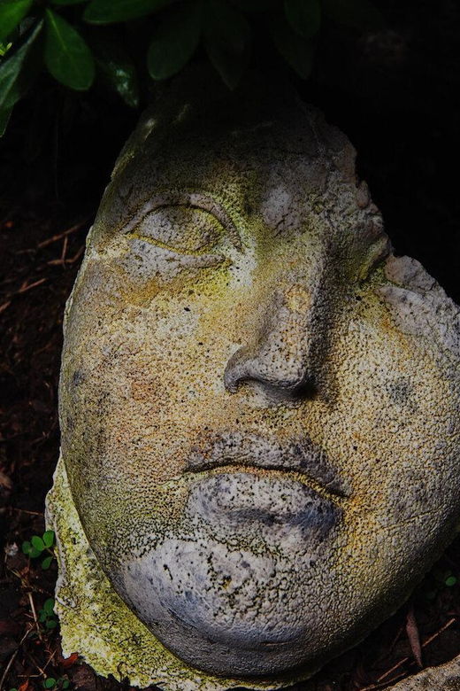 new-york-city-the-garden-photo-tour