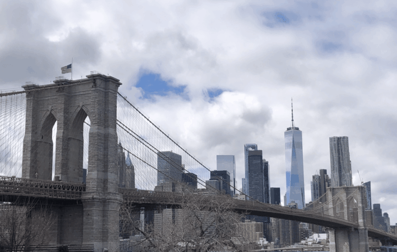 new-york-city-three-hour-welcome-highlights-tour-midtown