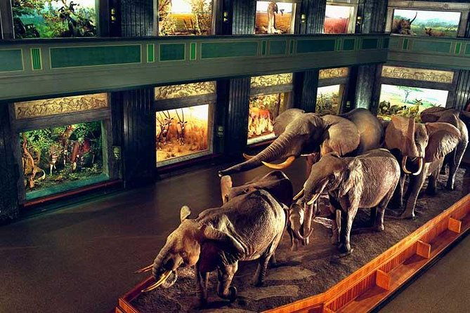 new-york-citypass