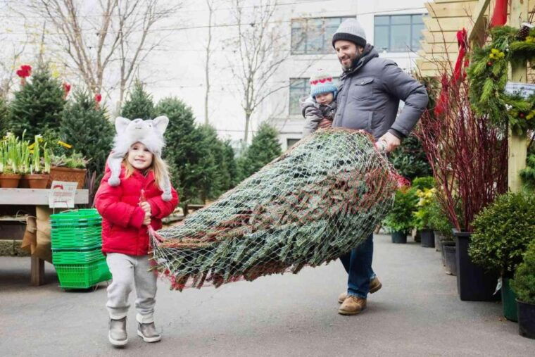 new-york-citys-iconic-christmas-tour-2